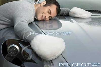 [Peugeot-Club.net] - Протирка.jpg