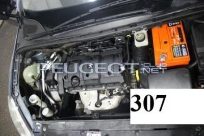 307..jpg