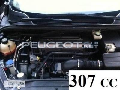 307cc.jpg