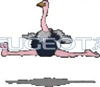 i.jpg