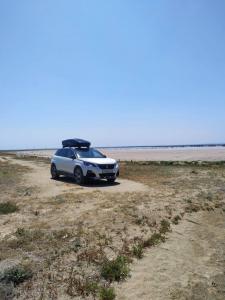 IMG_20190719_115414.jpeg