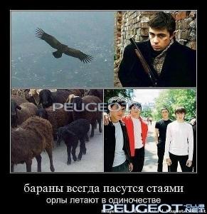 x_a553e3c4.jpg
