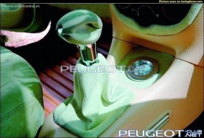 [Peugeot-Club.net] - image.jpg