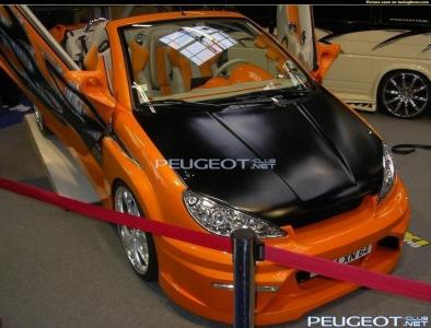 [Peugeot-Club.net] - image.jpg