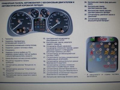 IMGP0031 (1).JPG