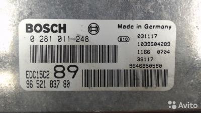 5657877462.jpg