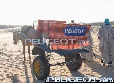 peugeot (1).jpg