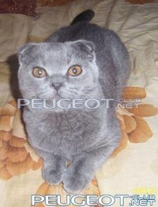 [Peugeot-Club.net] - getImage.jpeg