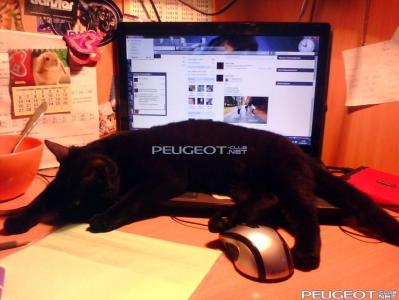 [Peugeot-Club.net] - IMG0199B.jpg