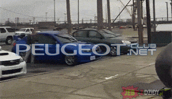 Orli.gif