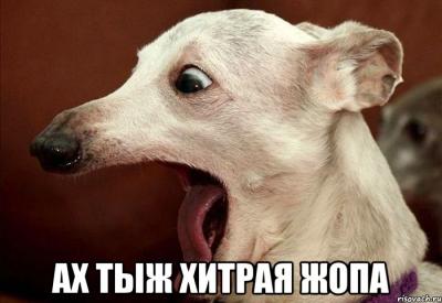 Хитрая...jpg