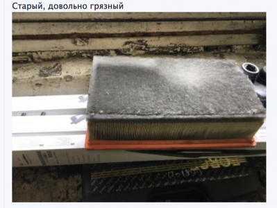 Гризли.png