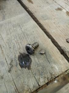 IMG_20181009_101528.jpg