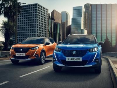 peugeot-2008-1906pc-120.556942.19.jpg