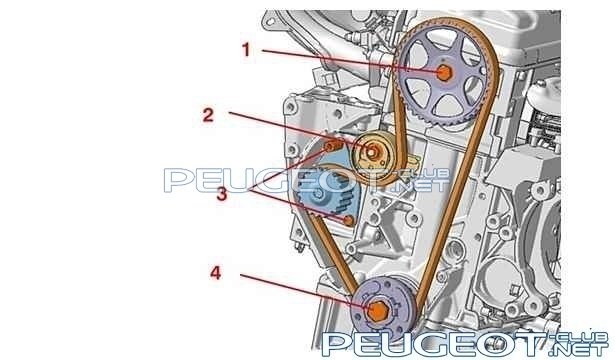 Как заменить ремень ГРМ на Пежо HDi? - Peugeot (MK 1)