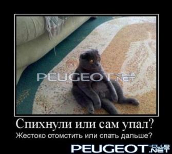 [Peugeot-Club.net] - post-2951-0-16568300-1333619872_thumb.jpg