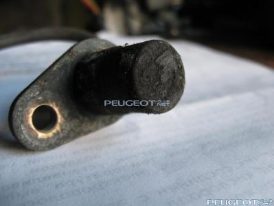 [Peugeot-Club.net] - IMG_2955.JPG