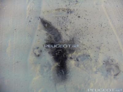 [Peugeot-Club.net] - IMG_20141128_120800.jpg