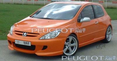 [Peugeot-Club.net] - Sbarro_307_racing_titre.jpg