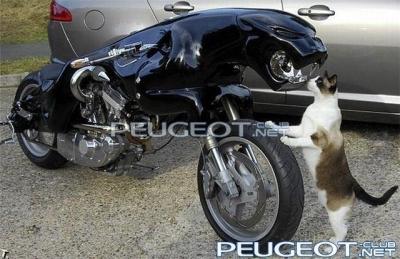 [Peugeot-Club.net] - getImage1.jpeg