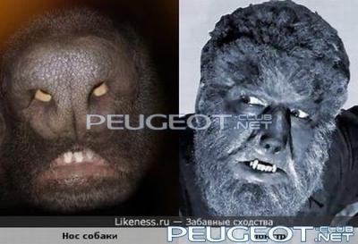 [Peugeot-Club.net] - look_like_28.jpg