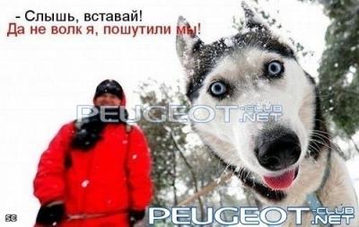 [Peugeot-Club.net] - 0_2d64e_338b46bc_L.jpg