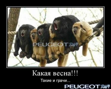 [Peugeot-Club.net] - 1334307450_demotivator-0029.jpg