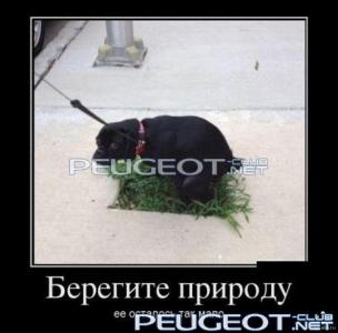 [Peugeot-Club.net] - выгул.jpg