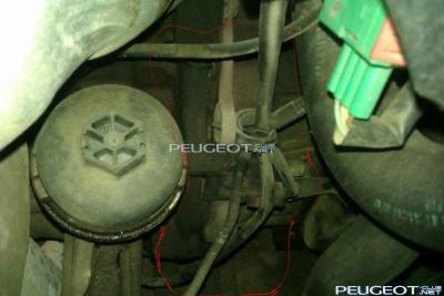 [Peugeot-Club.net] - 02_мокрое место.jpg