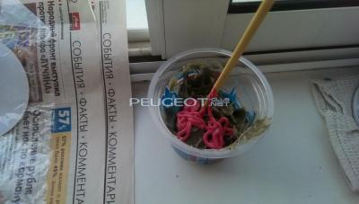 IMAG0481.jpg