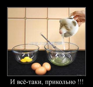 hotdem_ru_481035301339339352330.jpg