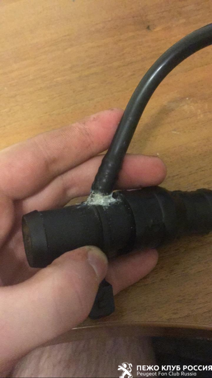 image.thumb.png.96b04c4f737a4e76c4c4265fed20d3d1.png