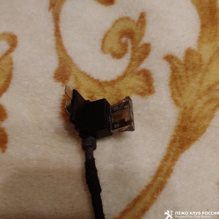 20201122_215119[1].jpg