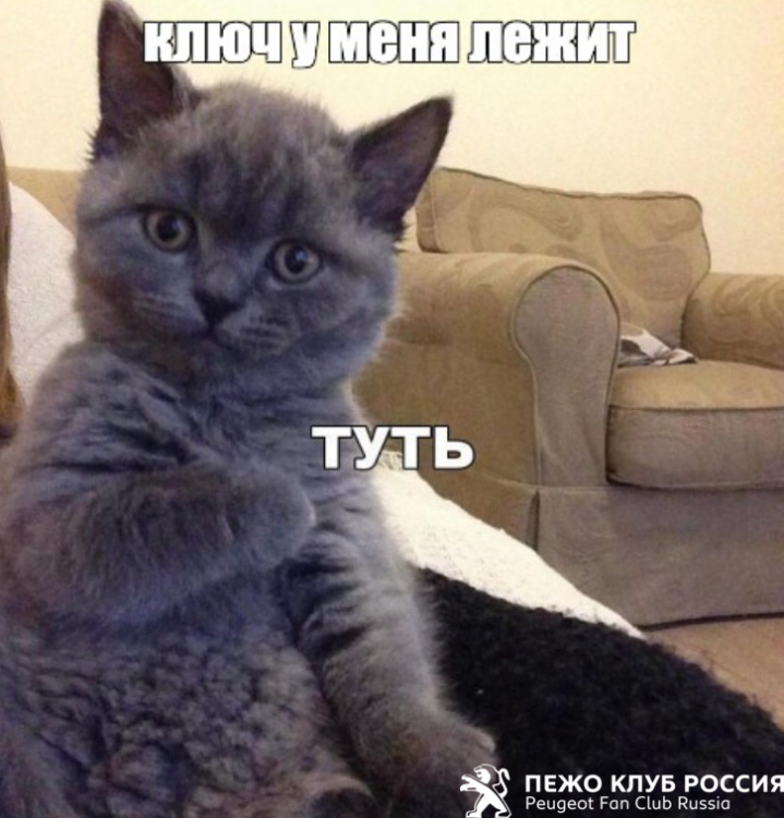 1162585892_2021-02-2616_56_05.thumb.png.b132e24df3df73b46f0f95da657d1a9c.png