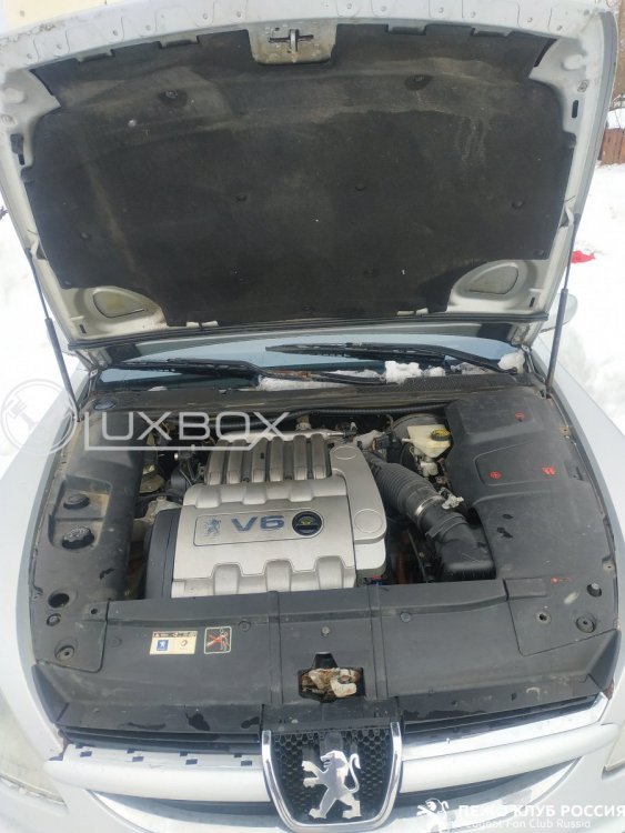 Ls5ghGqqSxQ.jpg