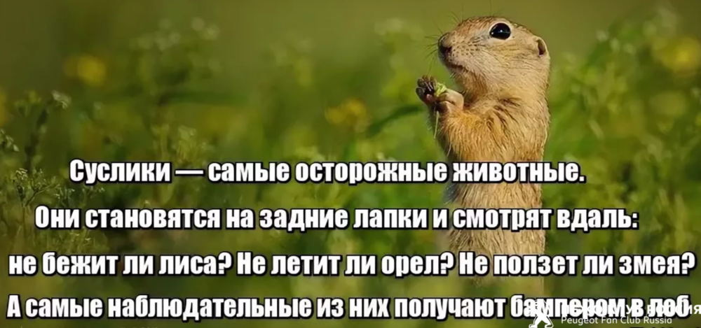 1017462433_2021-11-2518_21_23.thumb.png.041ff03d4a0e70f9a92501b2461875c5.png