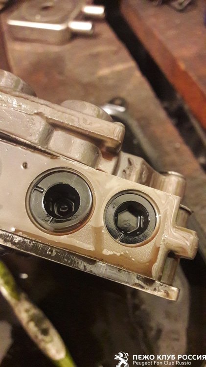 98f69a1s-1920.jpg