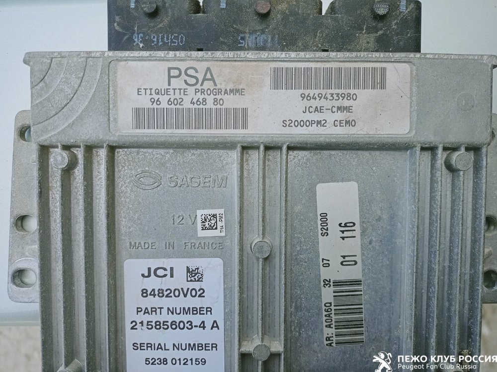 IMG20210413155247.jpg